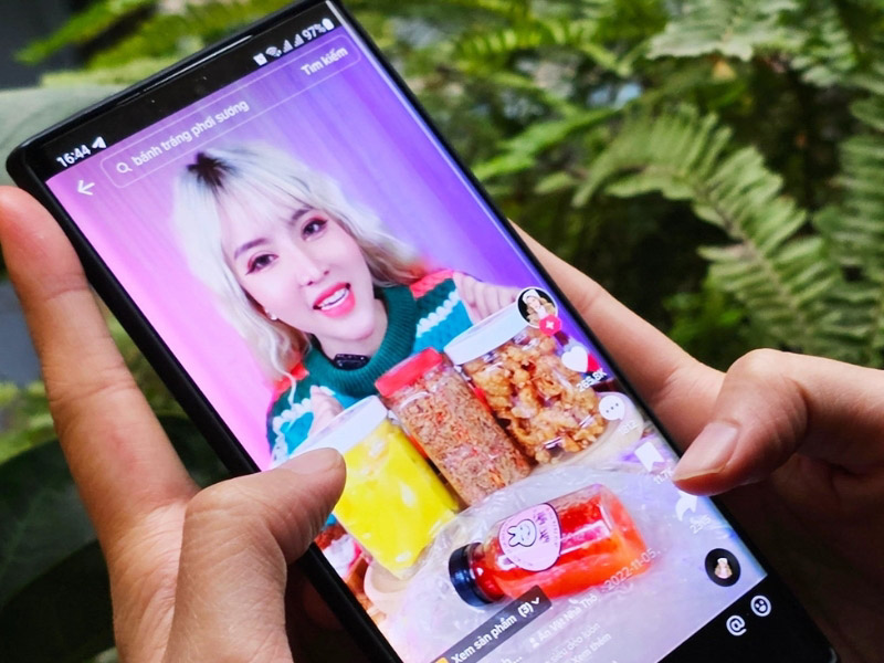 TikTok nghĩa tiếng Việt là gì